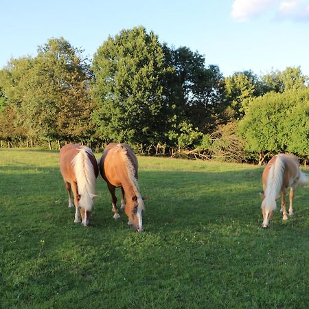 Les Grands Frenes Bed and Breakfast Plaine-de-Walsch Exteriör bild